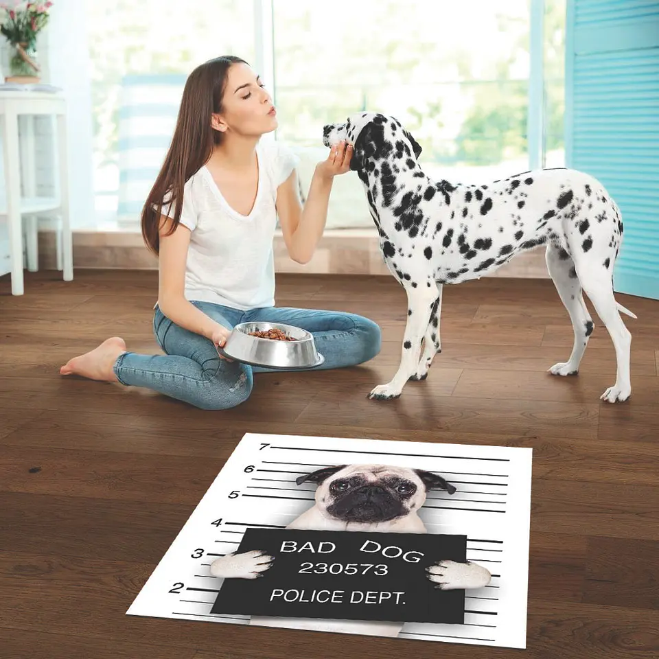 Bad Pug 2