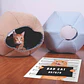 Bad Cat - Miniatura 2