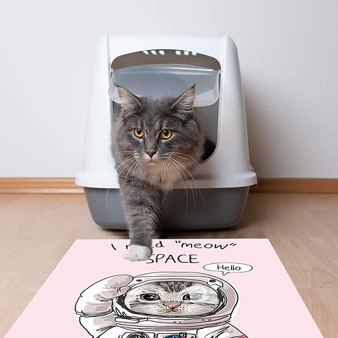 Meow Space