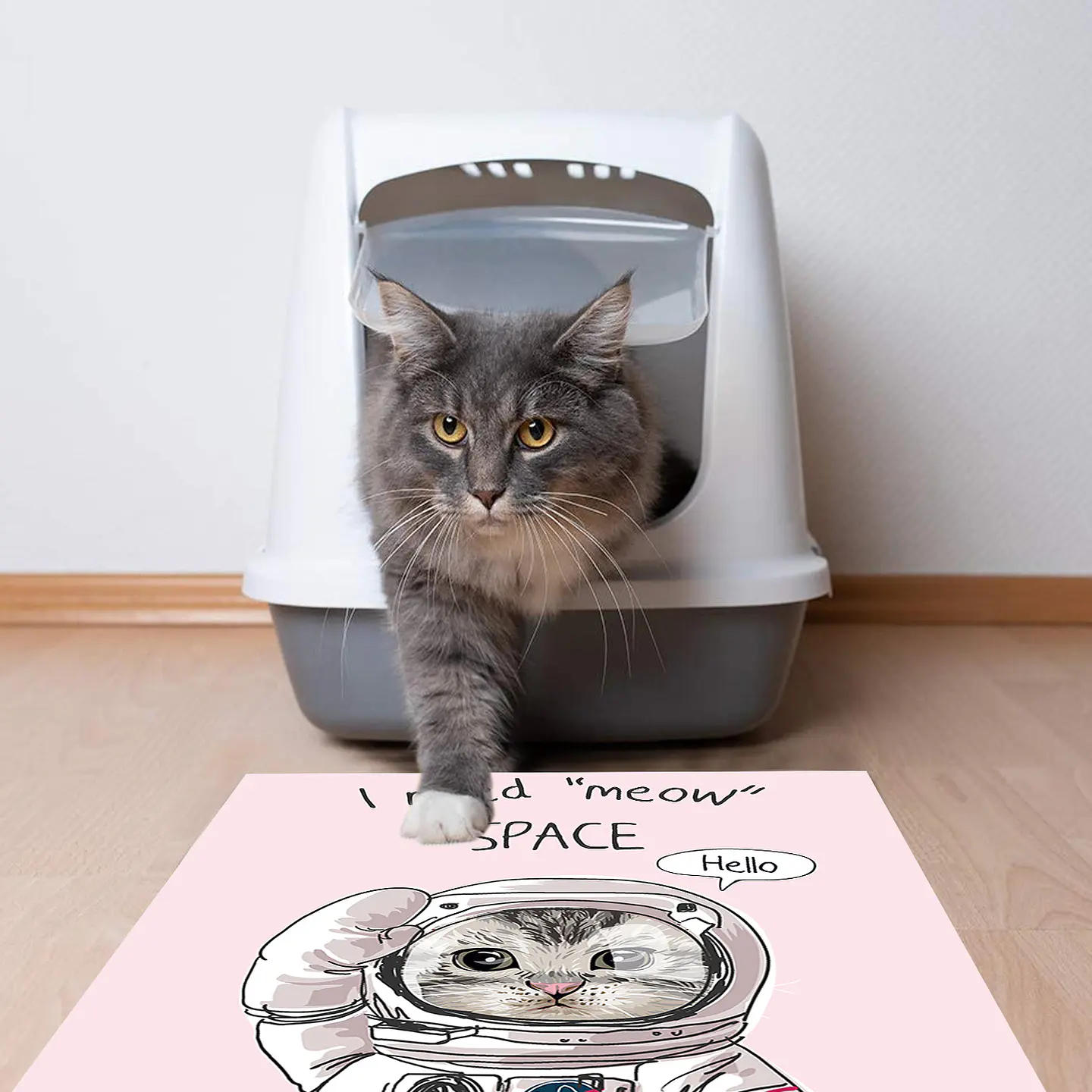 Meow Space 2