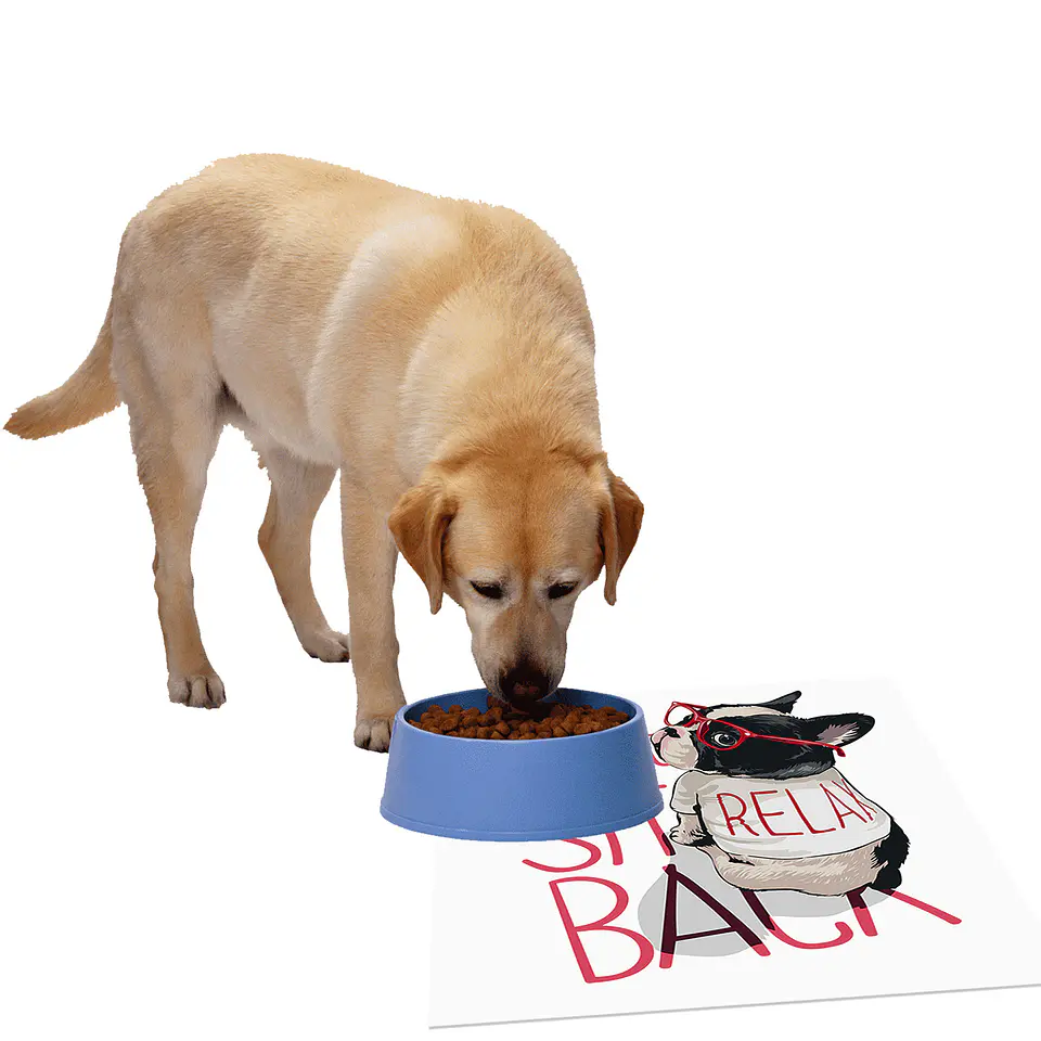 Look Back Dog 3