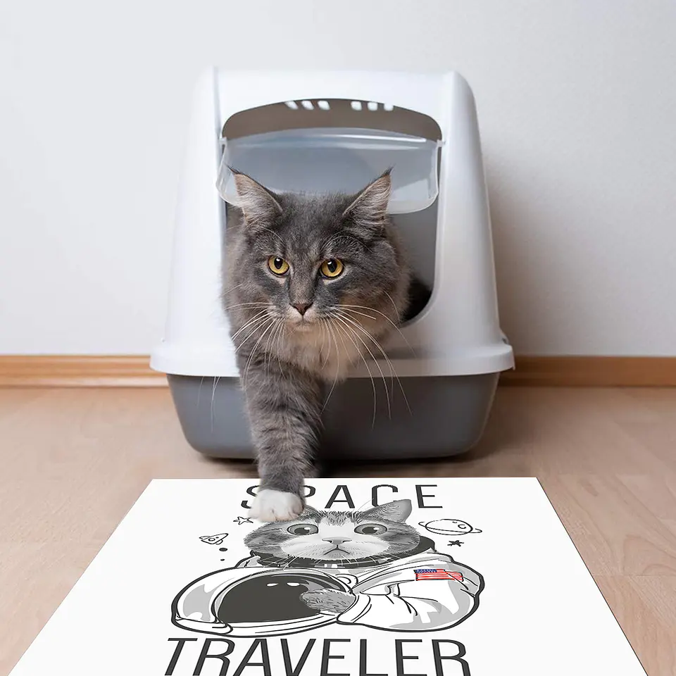 Space Traveler 3