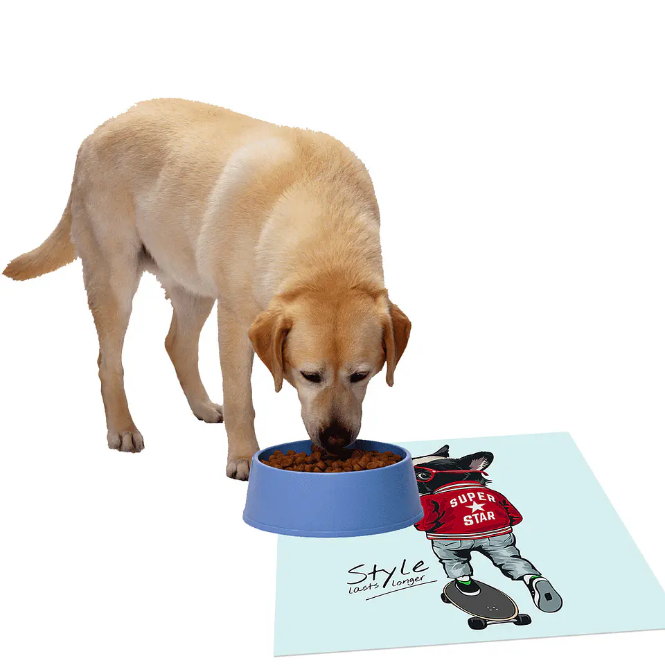 Skater Dog 3
