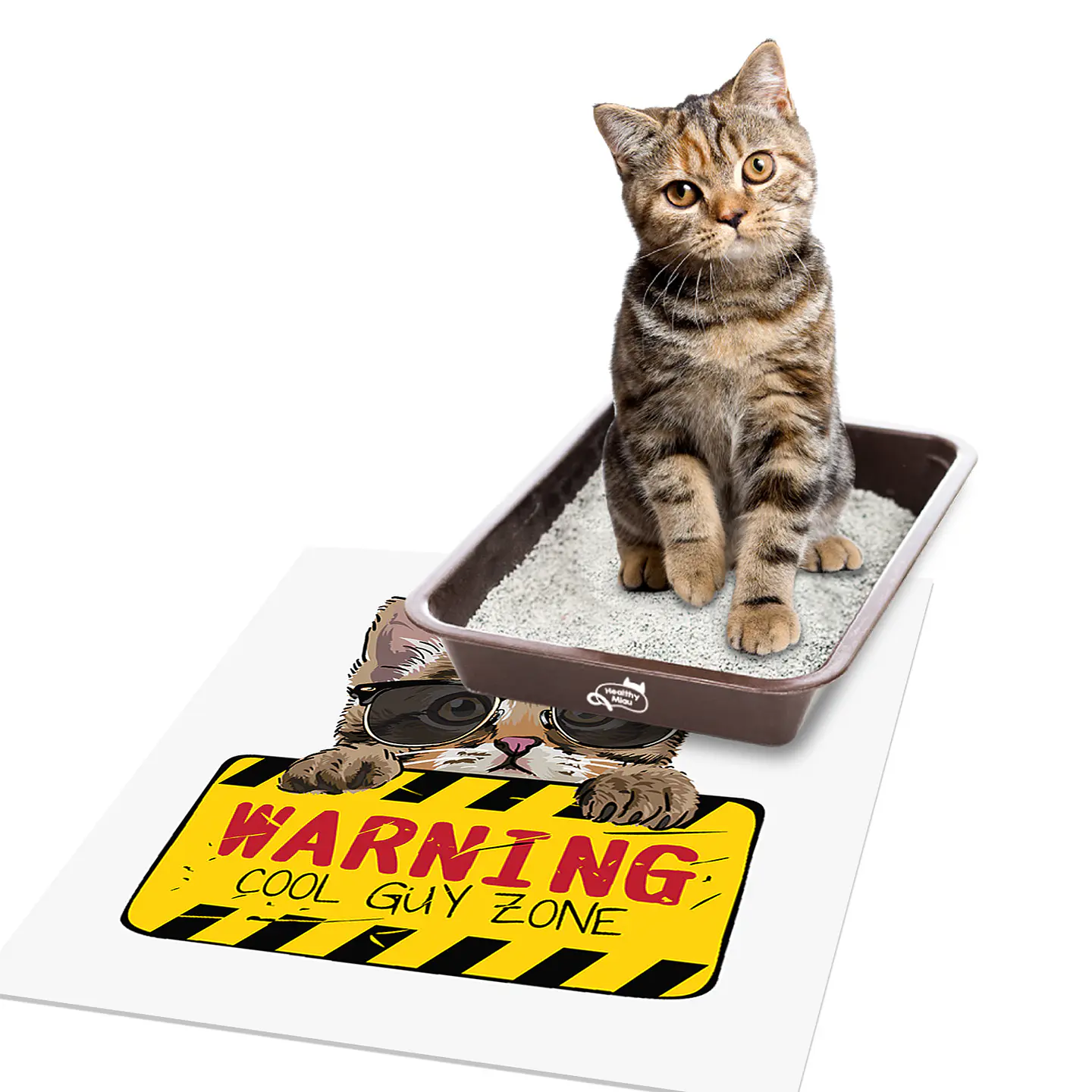 Warning Cat 3
