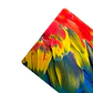 Set 6 Individuales Plumas Guacamayo Macao - Miniatura 3