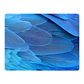 Set 6 Individuales Plumas Mix De Aves - Miniatura 4
