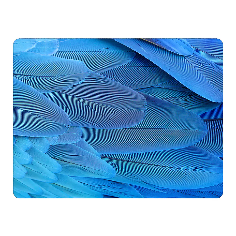Set 6 Individuales Plumas Mix De Aves 4