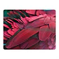 Set 6 Individuales Plumas Mix De Aves - Miniatura 8