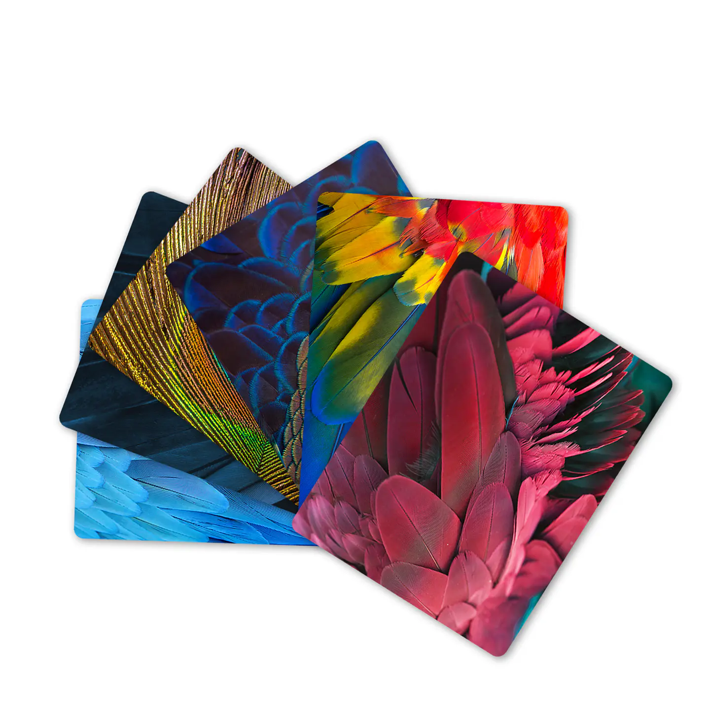 Set 6 Individuales Plumas Mix De Aves 1