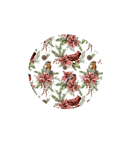 Set 6 Individuales Navidad 12 Redondo