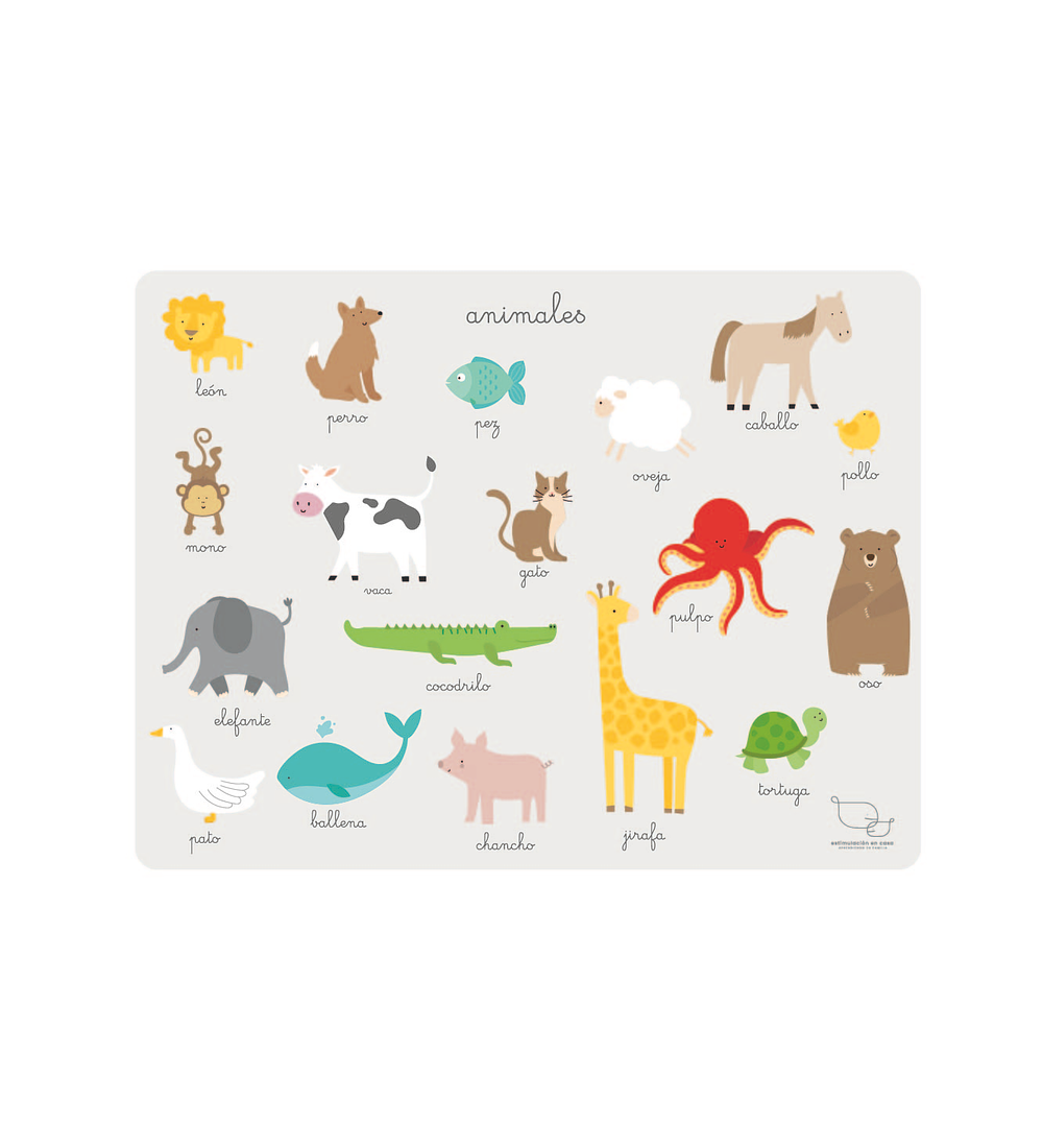 Set 8 Individuales Animales rectangular