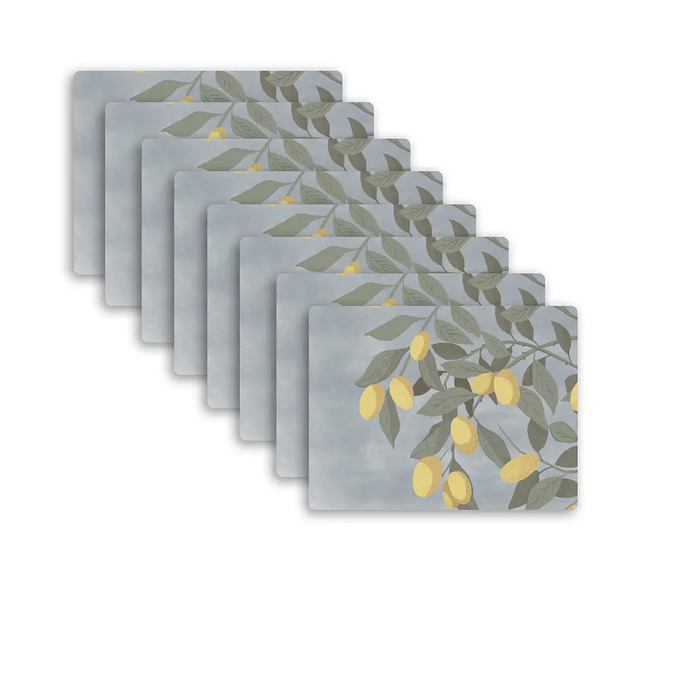 Set De 8 Individuales Graba Kumquat Rectangular 1