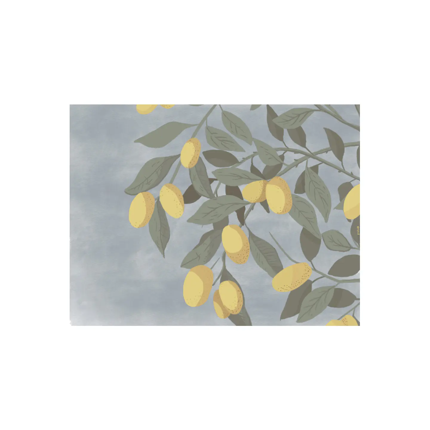 Set De 8 Individuales Graba Kumquat Rectangular 2