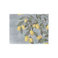 Set De 8 Individuales Graba Kumquat Rectangular - Miniatura 2