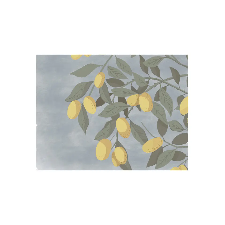 Set De 8 Individuales Graba Kumquat Rectangular 2