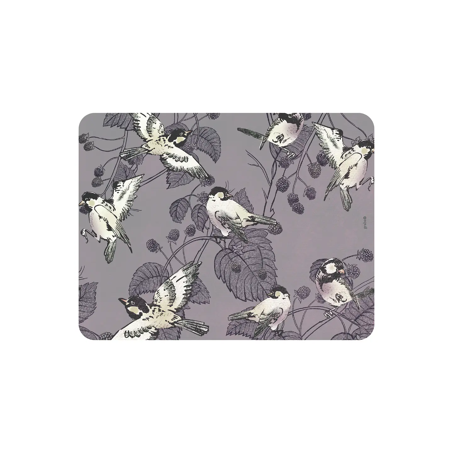 Set 8 Individuales Colección Pájaros Rectangular 3