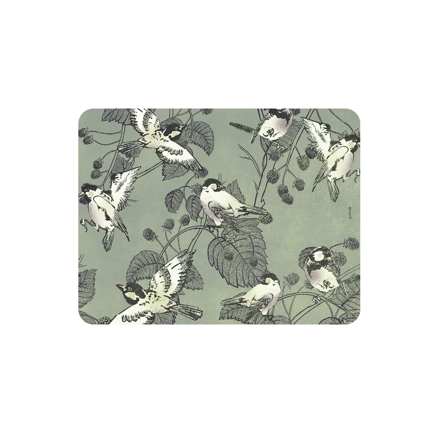 Set 8 Individuales Colección Pájaros Rectangular 5