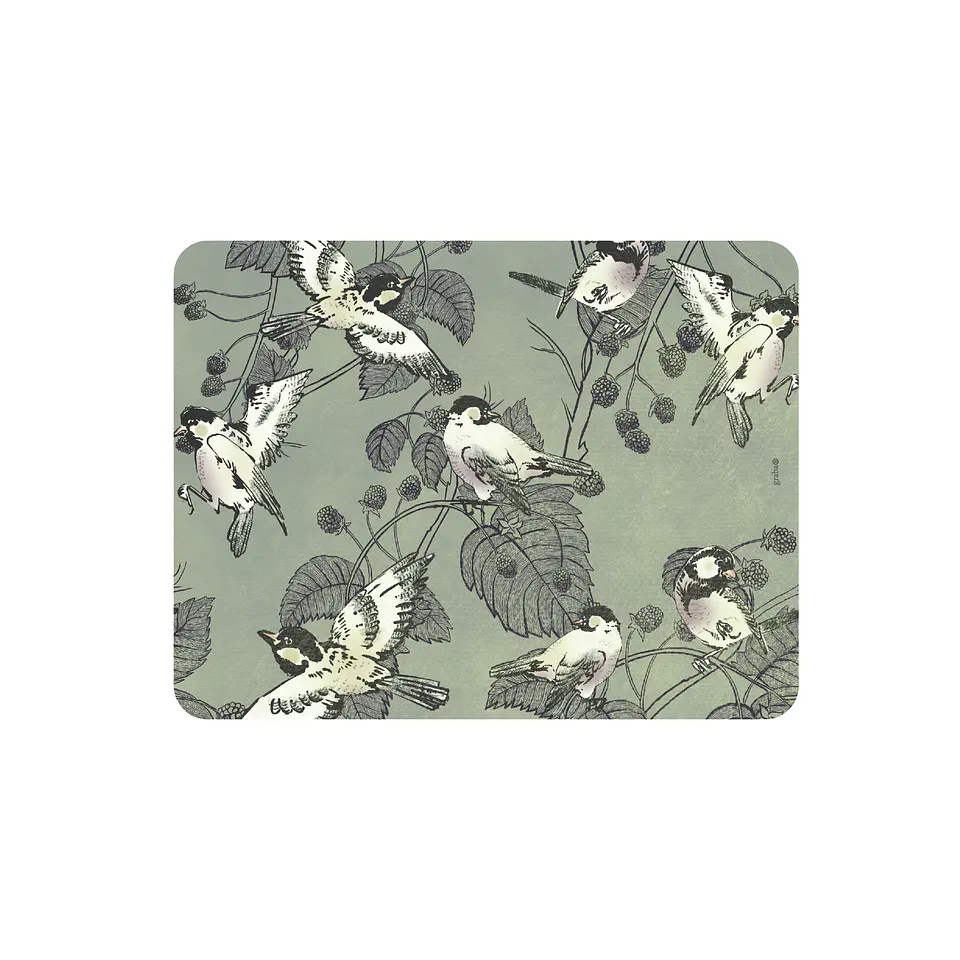 Set 8 Individuales Colección Pájaros Rectangular 5