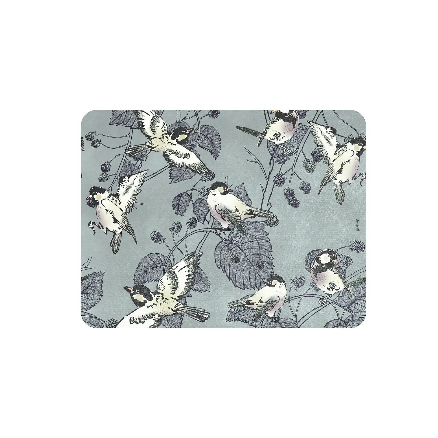 Set 8 Individuales Colección Pájaros Rectangular 6
