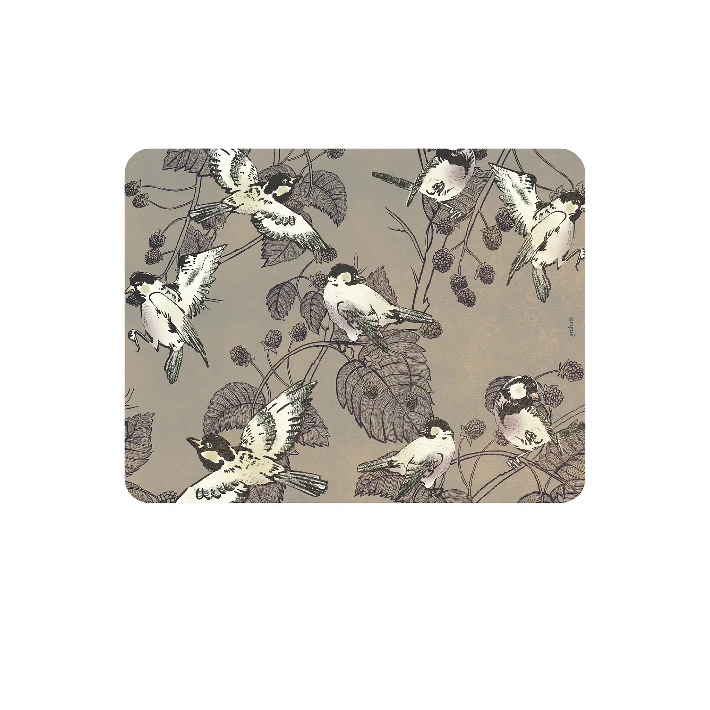 Set 8 Individuales Colección Pájaros Rectangular 7