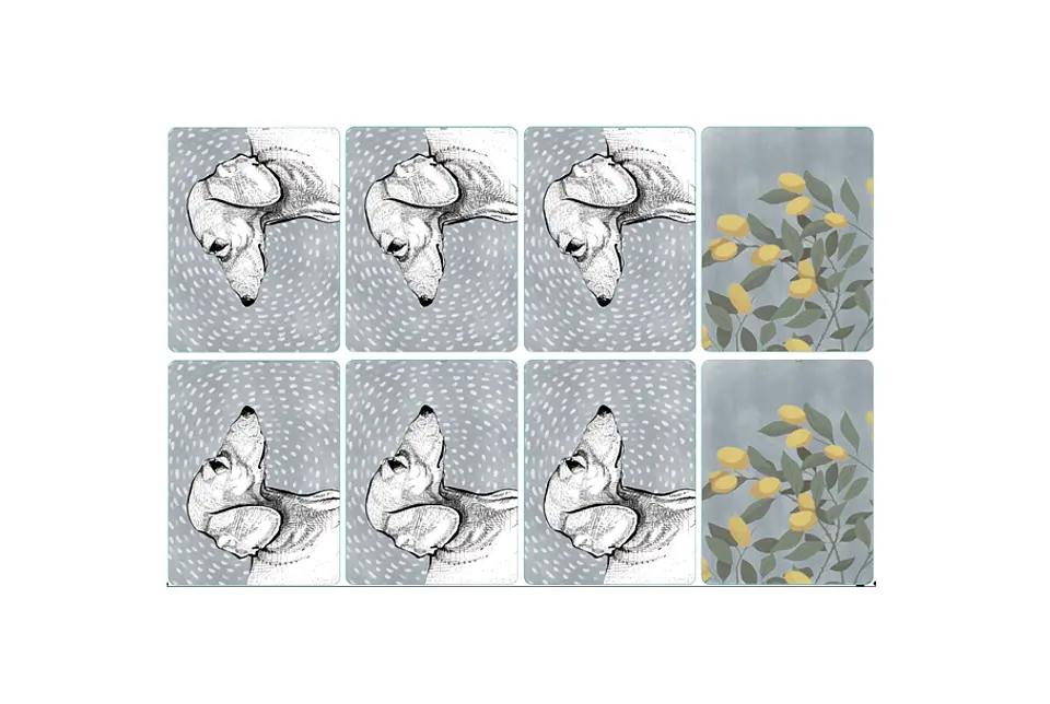 Set 8 Individuales Perro Salchicha Kumquat Rectangular 2