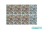 Set 8 Individuales Pájaros Naranja - Gris Rectangular - Miniatura 2