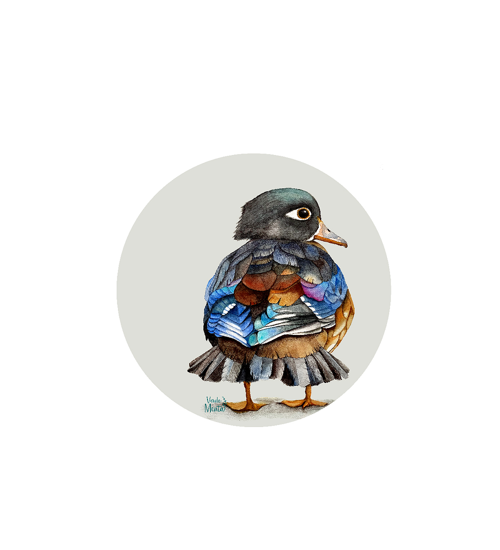 Set 6 individuales Pato Colores- Redondo 37 x 37 cm