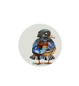 Set 6 individuales Pato Colores- Redondo 37 x 37 cm