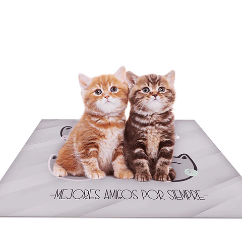 Gatitos