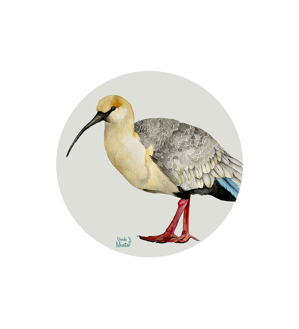 Set 6 Individuales Bandurria - Redondo 37 X 37 Cm