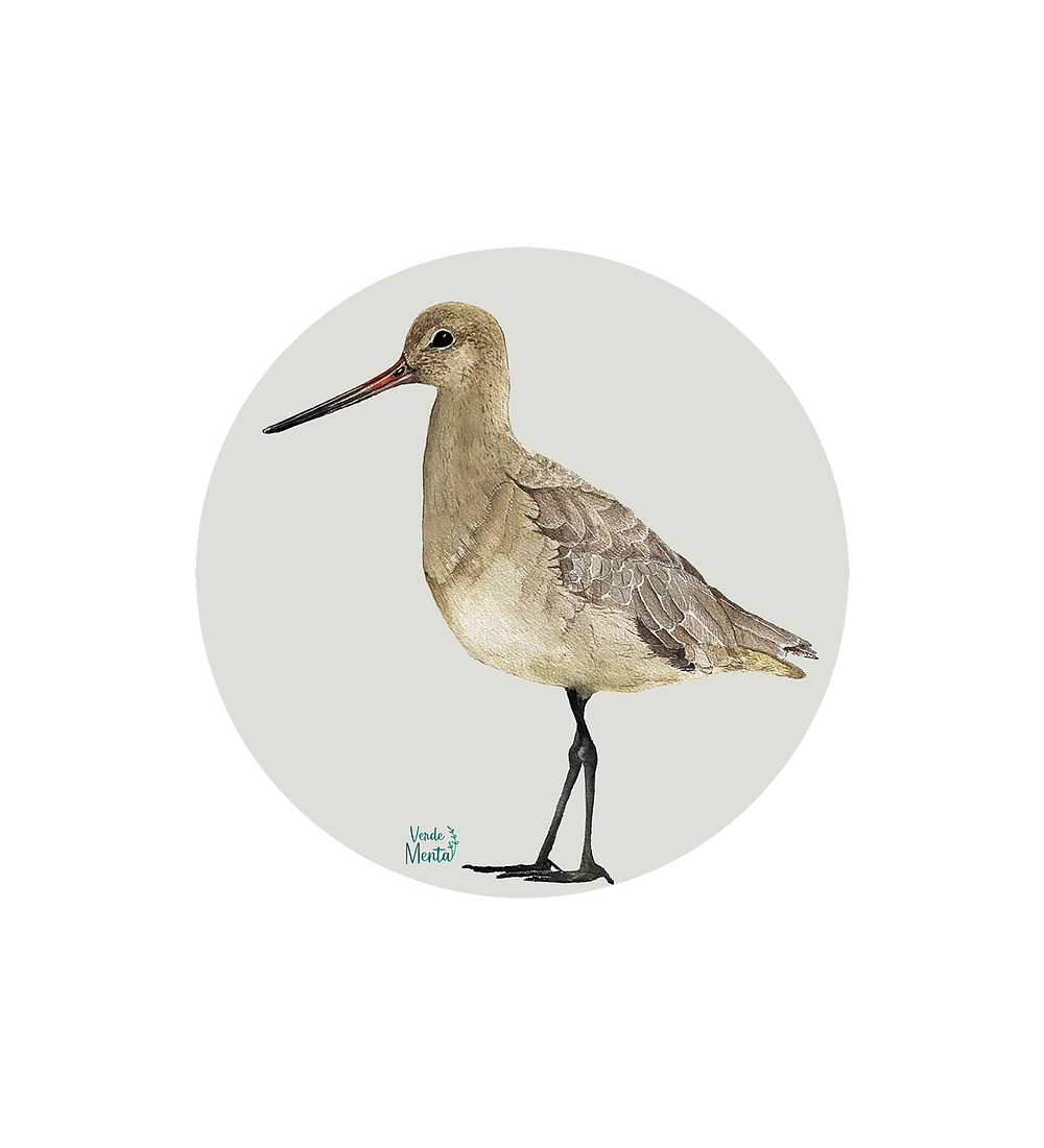 Set 6 Individuales Zarapito Pico Recto - Redondo 37 X 37 Cm