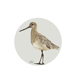 Set 6 Individuales Zarapito Pico Recto - Redondo 37 X 37 Cm