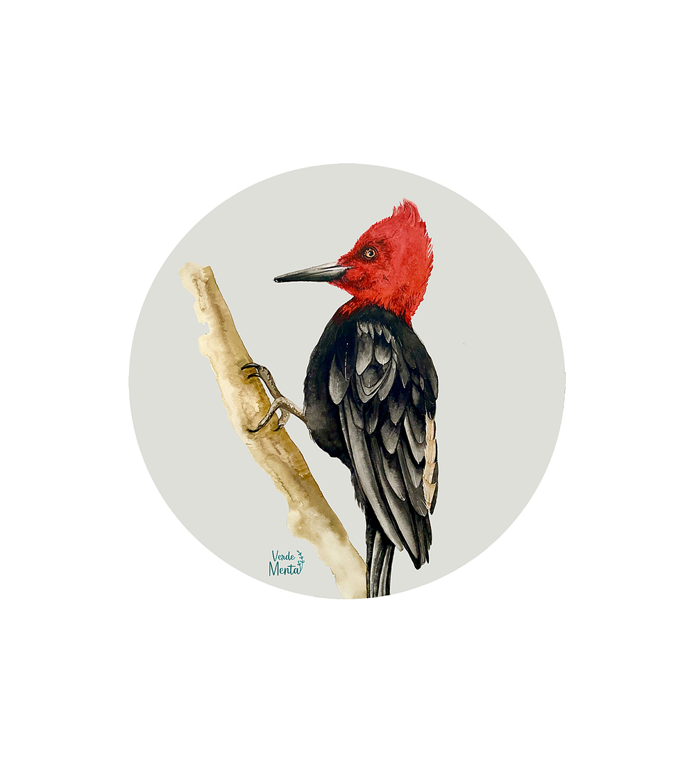 Set 6 Individuales Carpintero - Redondo 37 X 37 Cm