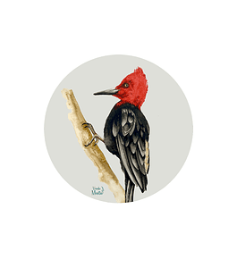 Set 6 Individuales Carpintero - Redondo 37 X 37 Cm