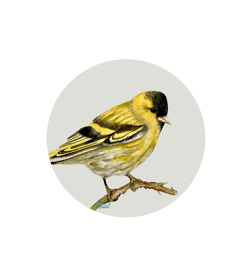 Set 6 Individuales Jilguero - Redondo 37 X 37 Cm