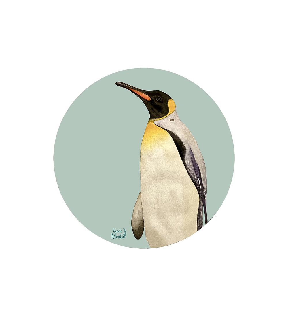 Set 6 Individuales Pingüino - Redondo 37 X 37 Cm