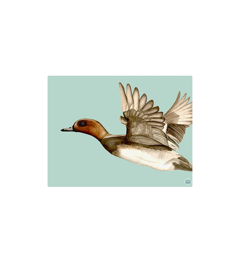 Set 8 Individuales Gansos 1 Rectangular 32 x 42 cm