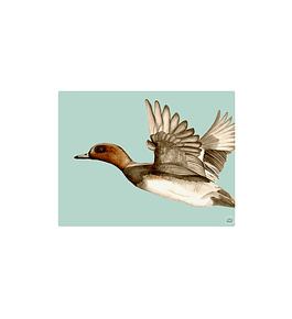 Set 8 Individuales Gansos 1 Rectangular 32 x 42 cm