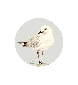 Set 6 individuales Gaviota Redondo - 37 x 37 cm