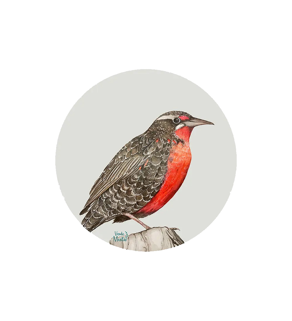 Set 6 individuales Loica Redondo - 37 x 37 cm