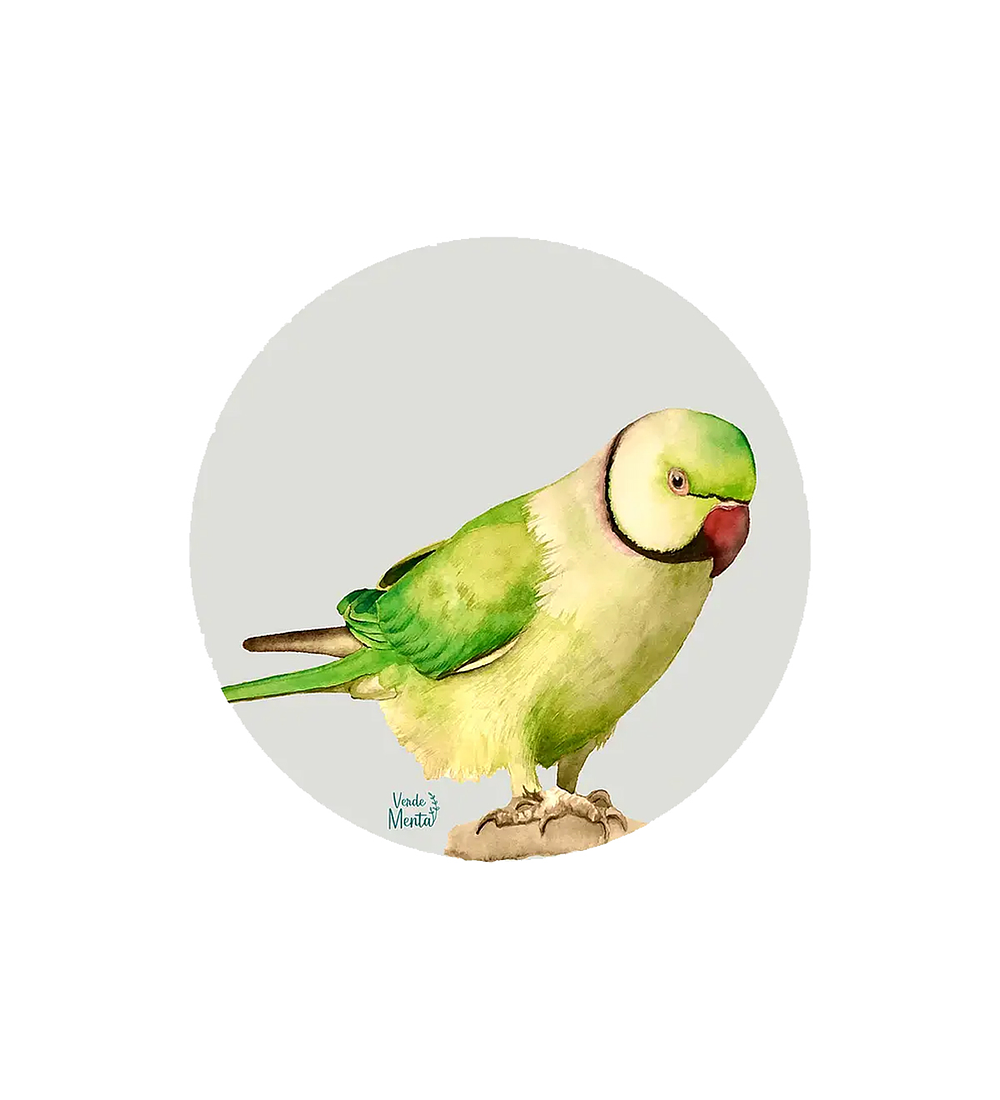 Set 6 individuales Loro Redondo - 37 x 37 cm