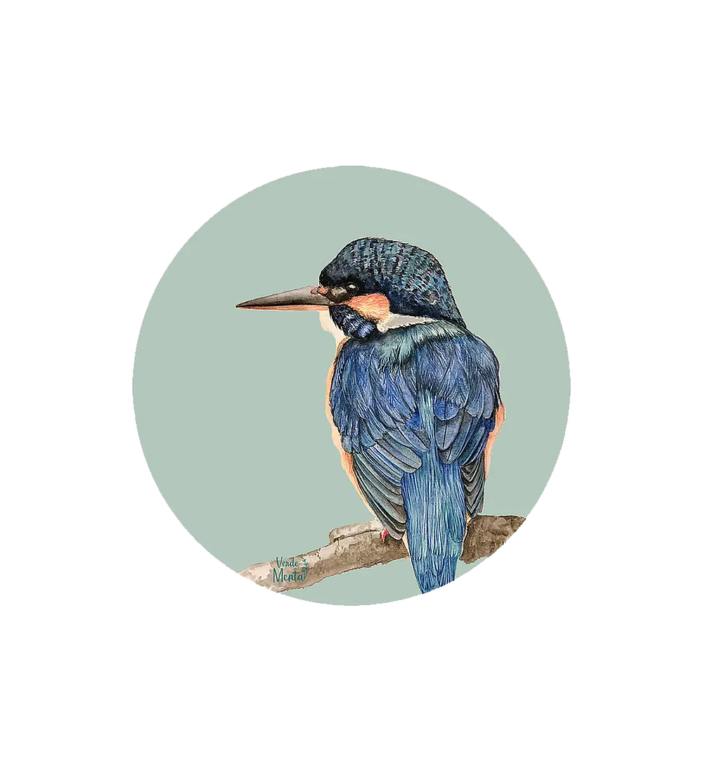 Set 6 individuales Martin Pescador - Redondo 37 x 37 cm