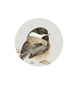 Set 6 individuales Pajarito Gris 1 - Redondo 37 x 37 cm