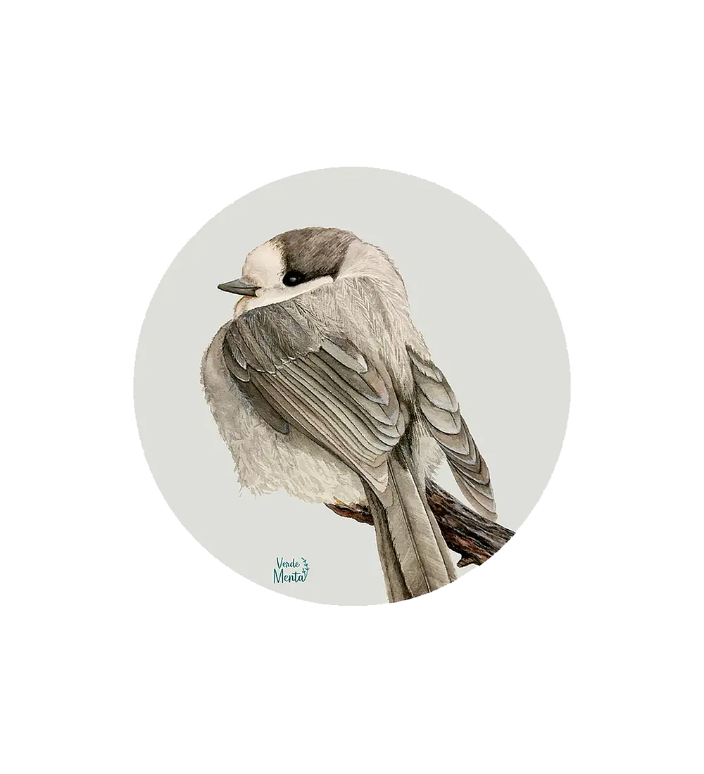 Set 6 individuales Pajarito gris_2 Redondo 37 x 37 cm