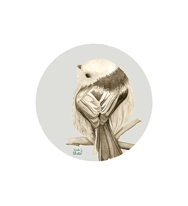 Set 6 individuales Pajarito Gris 3 - Redondo 37 x 37 cm