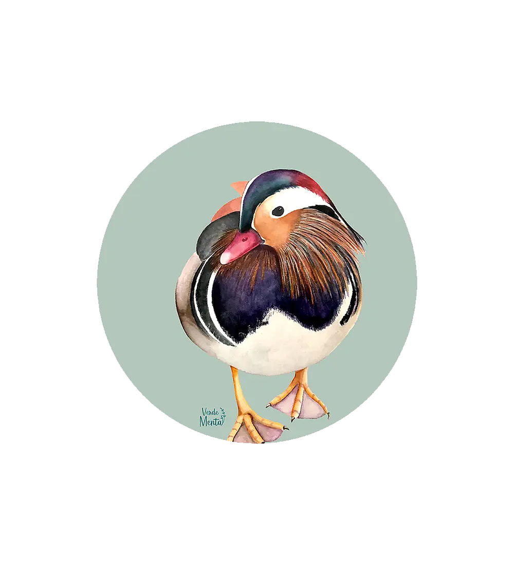 Set 6 individuales Pato Mandarin Redondo 37 x 37 cm