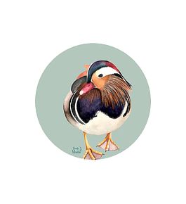 Set 6 individuales Pato Mandarin Redondo 37 x 37 cm