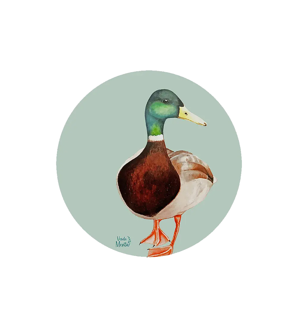 Set 6 individuales Pato Silvestre 1 - Redondo 37 x 37 cm