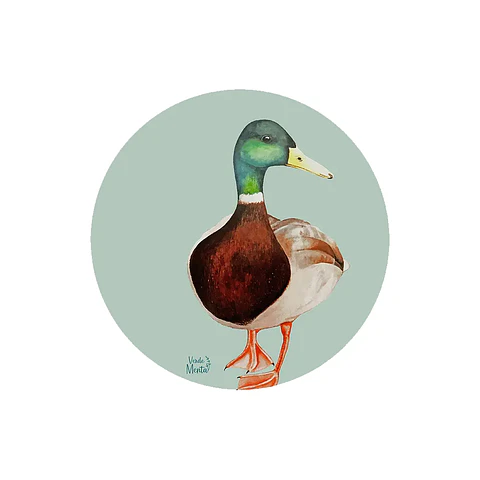 Set 6 individuales Pato Silvestre 1 - Redondo 37 x 37 cm