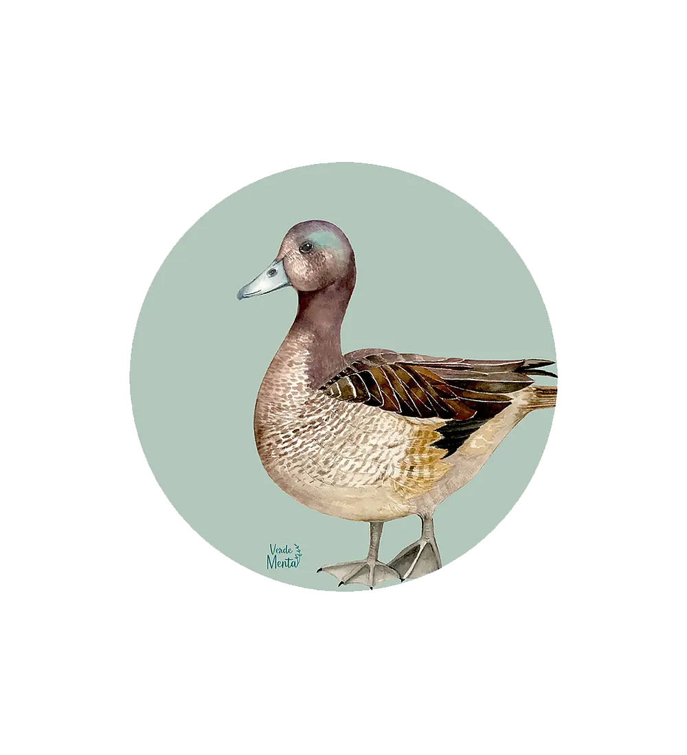 Set 6 individuales Pato Silvestre 2- Redondo 37 x 37 cm